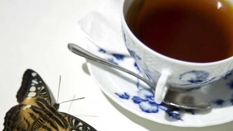 4 билки, които помагат при хемороиди