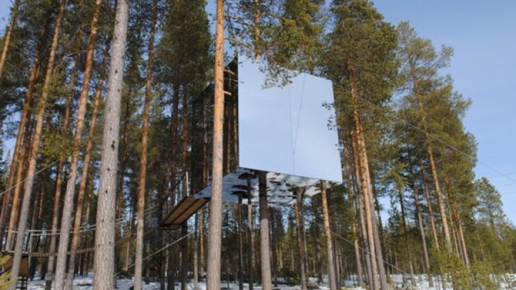 Хотели върху дървета