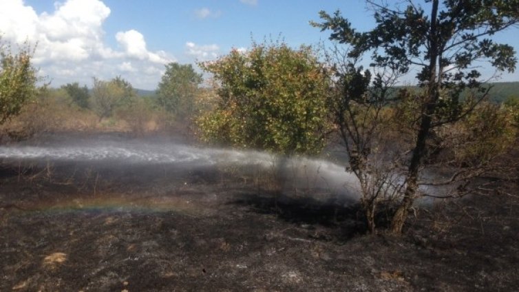 Пожар горя на Иракли