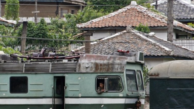 Влак се сблъска със стадо крави, уби 17 от тях в Чехия