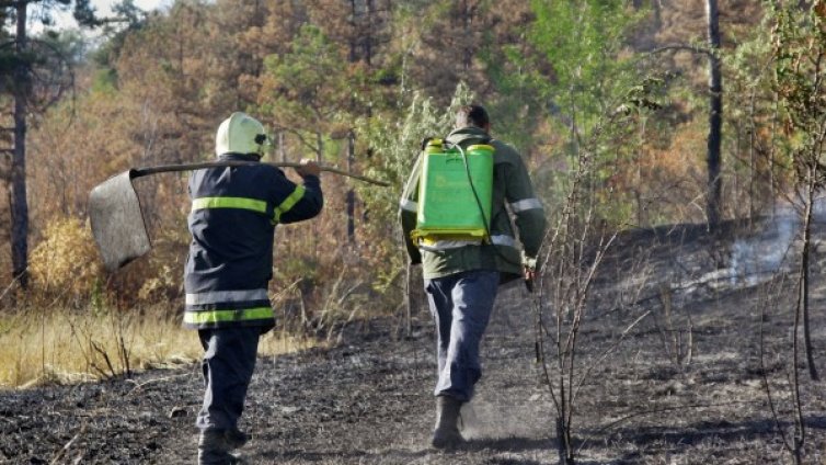 Овладян е пожарът в ямболския парк "Боровец"