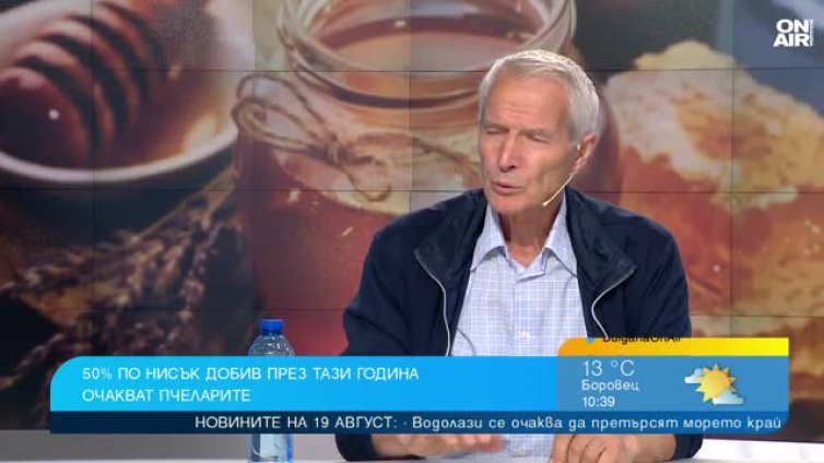 Сушата не пощади и пчелите, медът сериозно ще поскъпне