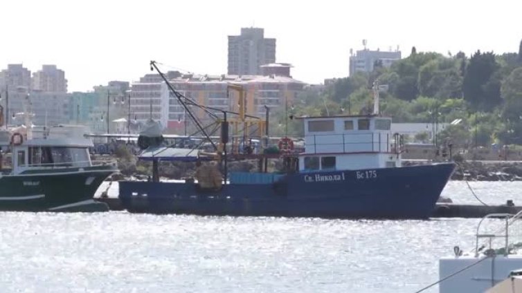 Рибари с предупреждение: Рибата поскъпва двойно