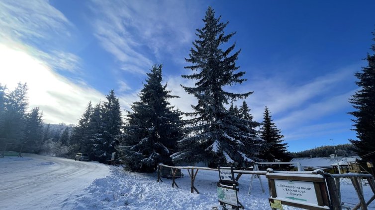 Кучешки студ ни очаква през януари: До минус 18