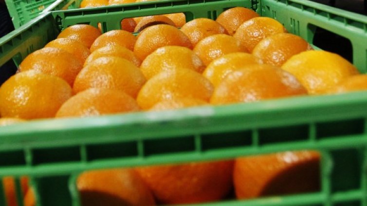 Можем ли да си набавим витамин C с хапчета?