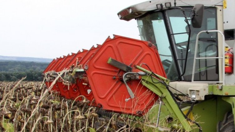 Земеделци: Добивите са високи, печалбите &ndash; ниски