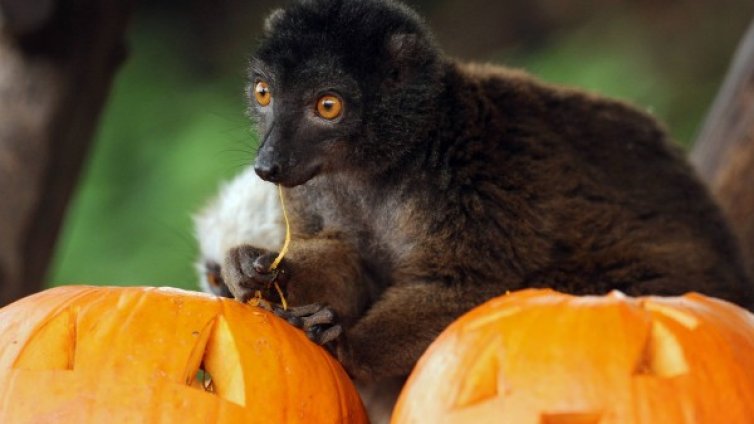 Денят в снимки