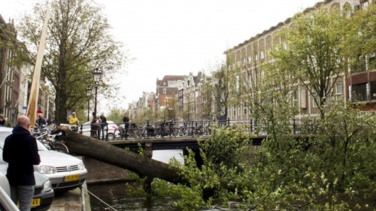 14 жертви взе бурята в Западна Европа