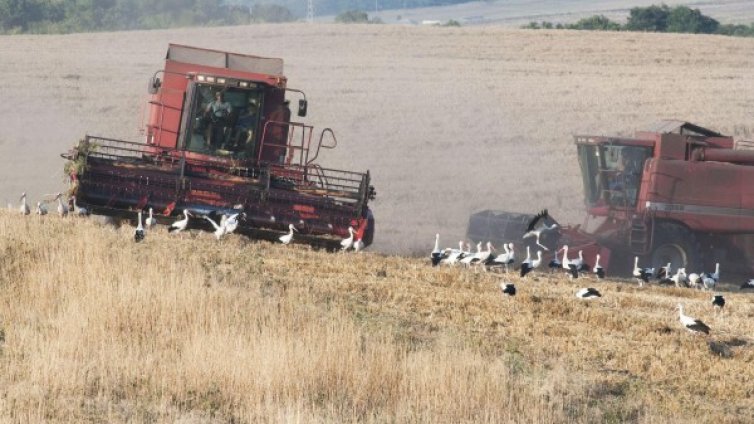 Протест се обяви против продажбата на земя на чужденци