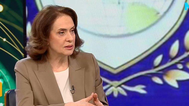 Надежда Нейнски: Какъв е правният статут на Съвета за мир?