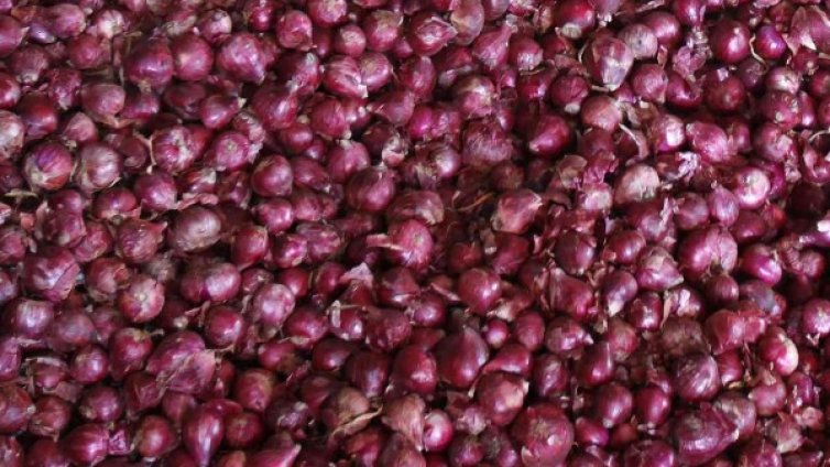 Лук, от който не се плаче, идва от Нова Зеландия 