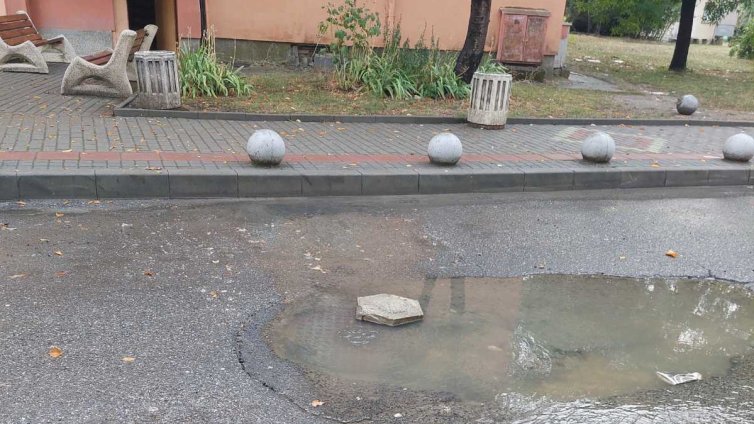 Фекални води текат от улични шахти в Кърджали и наводняват жилища