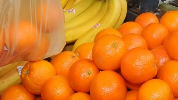 Гъби и плодове за 31 000 лв. отмъкнаха  в Катуница