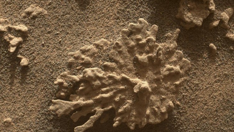 Марсоходът на NASA със снимки, показващи, че на Марс е възможно да е имало живот