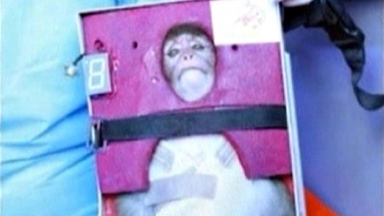 Иран изстреля втора маймуна в Космоса