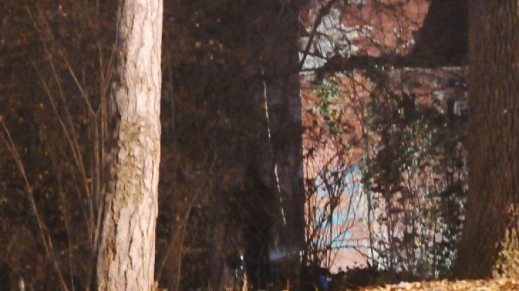 Приятелка на клошарката обгоряла в опит да я спаси