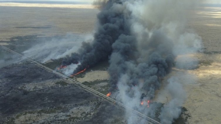 Жега и пожари мъчат Австралия 