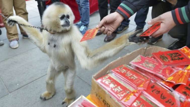 Денят в снимки