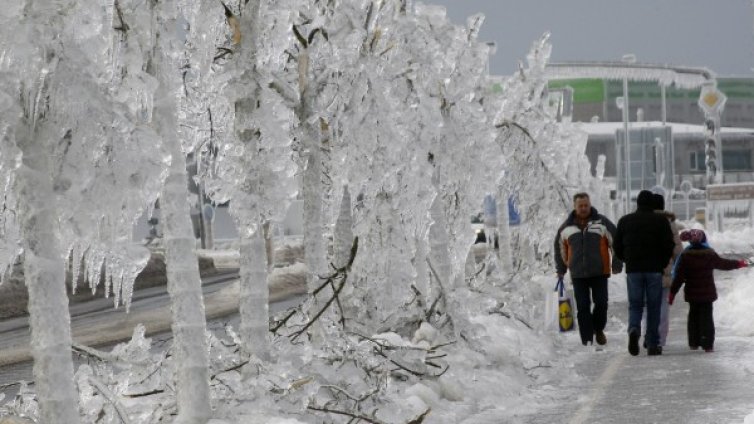 Снежна буря остави без ток хиляди домакинства в Словения