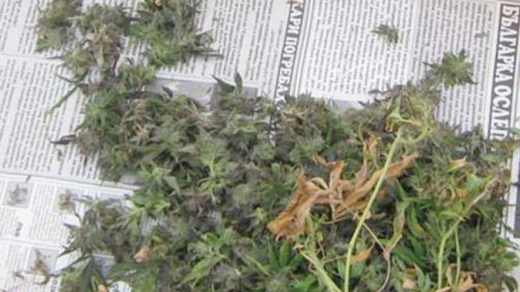 4 кг канабис и открадната мрежа са открити в Старозагорско