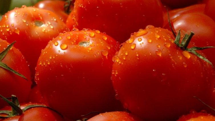 Родните краставици поскъпват, доматите по-евтини