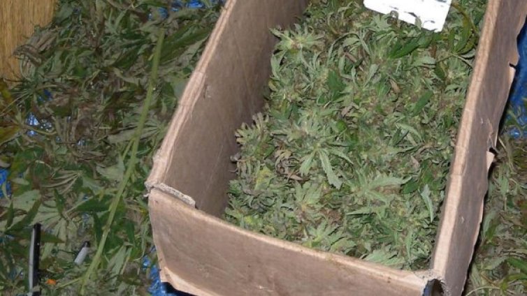 Хванаха мъж с 3,5 кг канабис на "Дунав мост" 2 