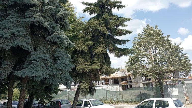 От Helpbook: Неподдържани площи, опасни дървета, избуяли треви