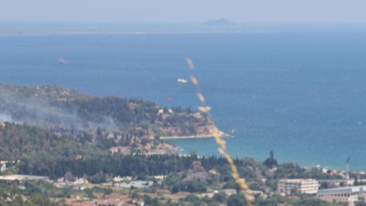 342 огнища са пламнали за 5 дни в Турция