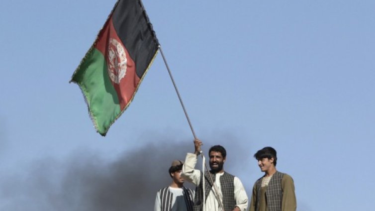 Изберете папагал! Изберете острилка! Гласувайте в Афганистан!