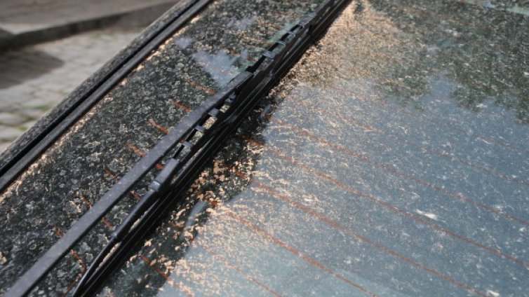 Екологична тревога: Сахарски пясък вали над Англия