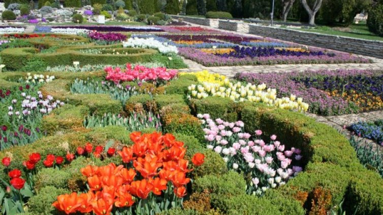 Парад на лалета в Ботаническата градина в Балчик