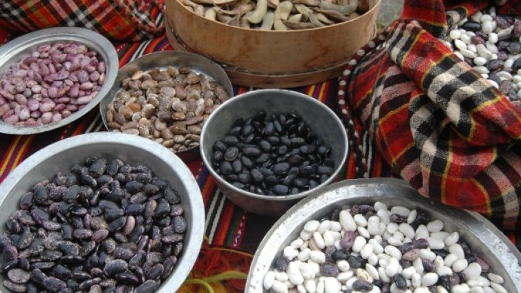 Британците намаляват боба заради парниковите емисии