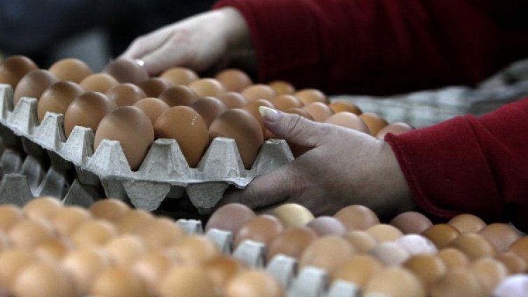 За какво да следим, като купуваме яйца и месо