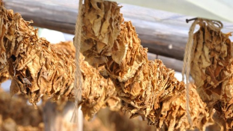 Иззеха 6140 къса контрабандни цигари и 8,680 кг тютюн