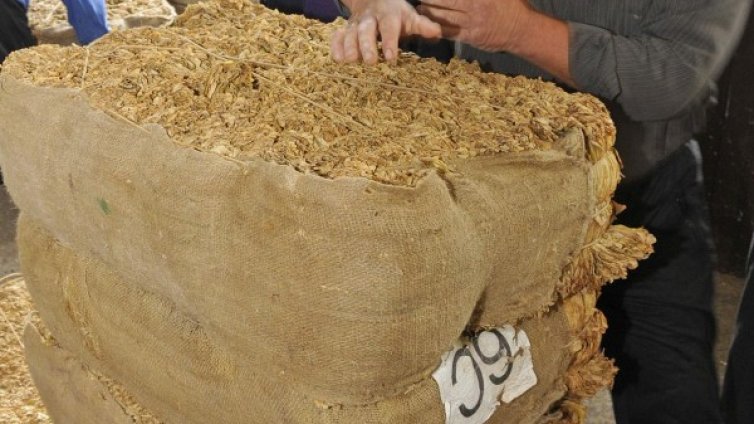 Полицаи иззеха 200 кг контрабенден тютюн от кола