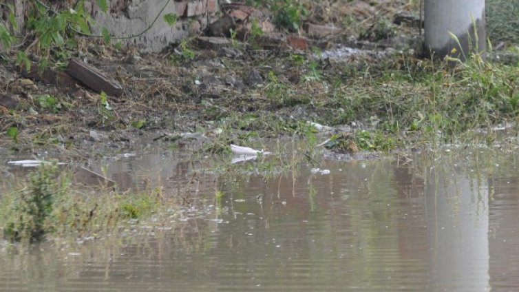 Къщи са наводнени в села в Търговищко