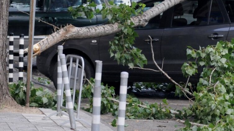 Опасност от силен вятър застрашава Добрич 