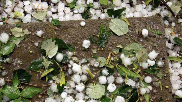 "Жълт" код е обявен за пет области в петък 