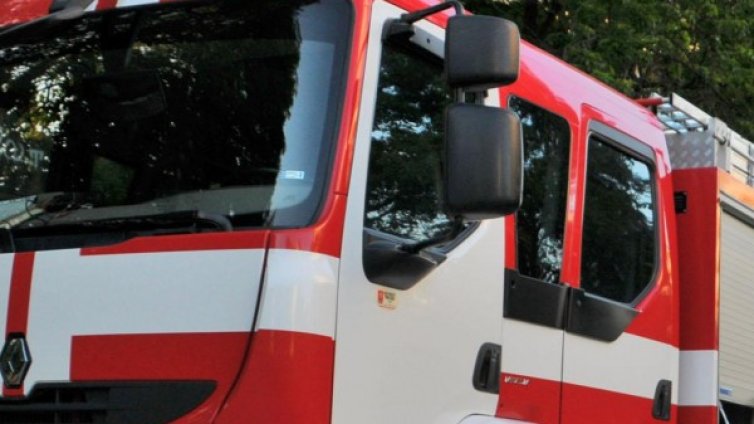 18 дка иглолистна гора изгоря при пожар край Хисар