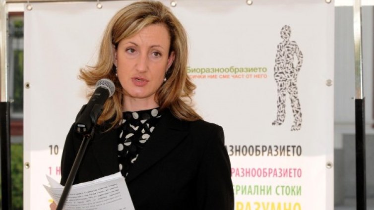 Златанова на тръгване: Ситуацията не беше добра за реформи