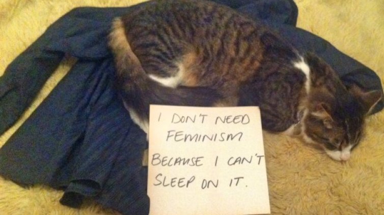 Объркани котки се обявяват срещу феминизма