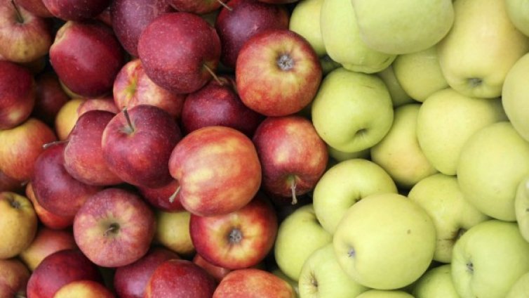 На Русия се падат 30% от износа на плодове от ЕС и над 20% - на зеленчуци