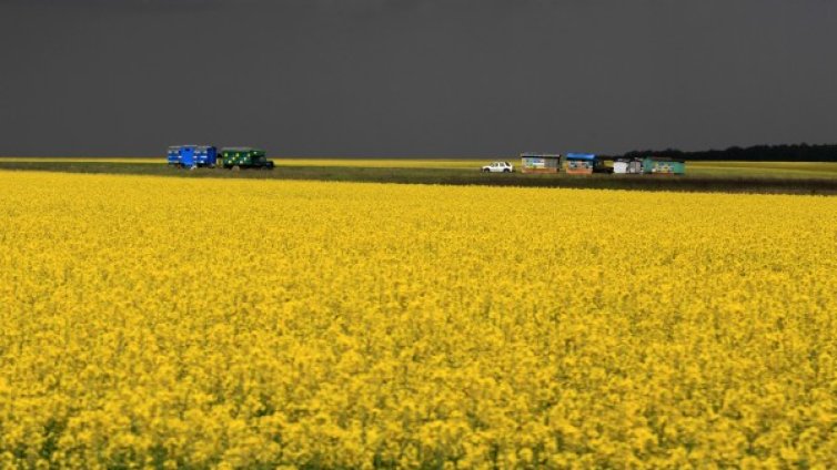 Чужди инвестиционни фондове напират за земеделски земи в Румъния