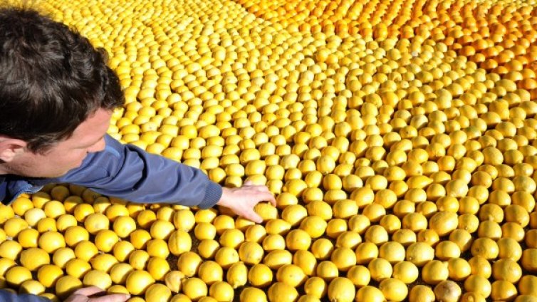 Цветя? О, не! По-добре лимони!