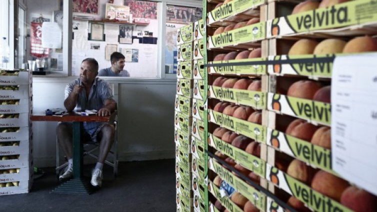 Земеделци в Гърция раздават безплатно праскови заради руското ембарго