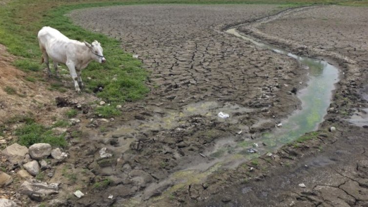 Тежка суша мъчи Североизточен Китай