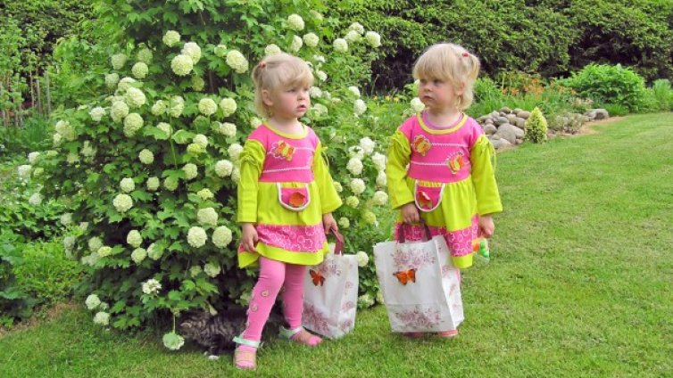 Неща, които никога да не казвате на близнаци  