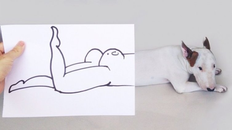 Кучето с най-вълнуващия живот