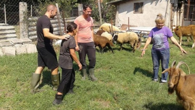 ГЕРБ с още помощ след потопа: Купи крави, шиле и кози