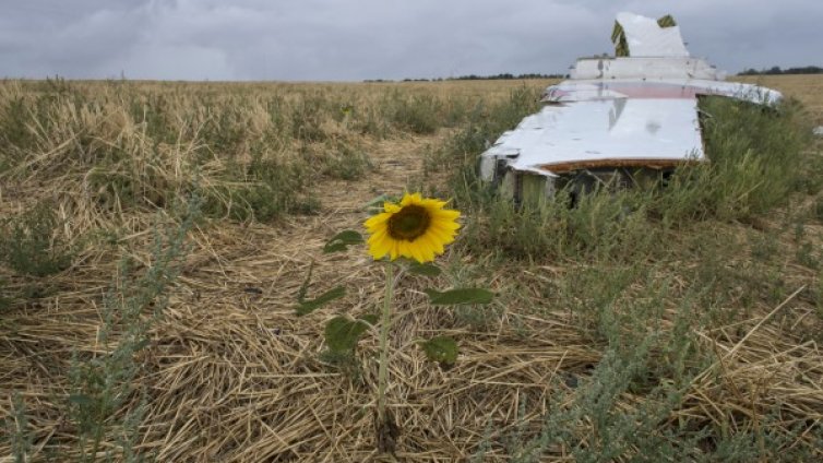 Полет MH17: Адът сред слънчогледите